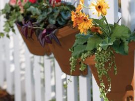 Navigating the Wholesale Nursery Pots Market