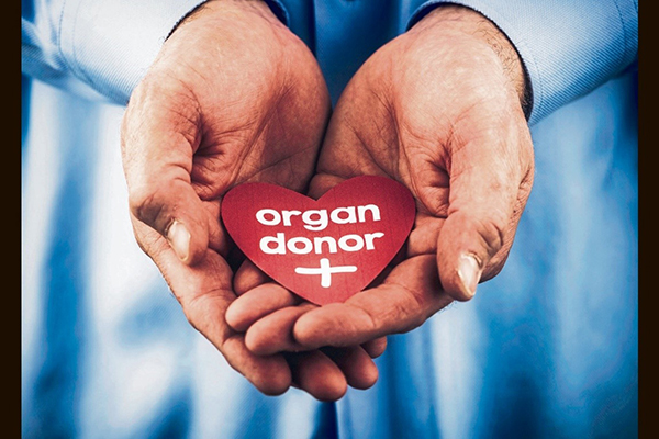 Life-Saving Impact